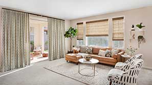 Roller Shades and Drapery in Living Room