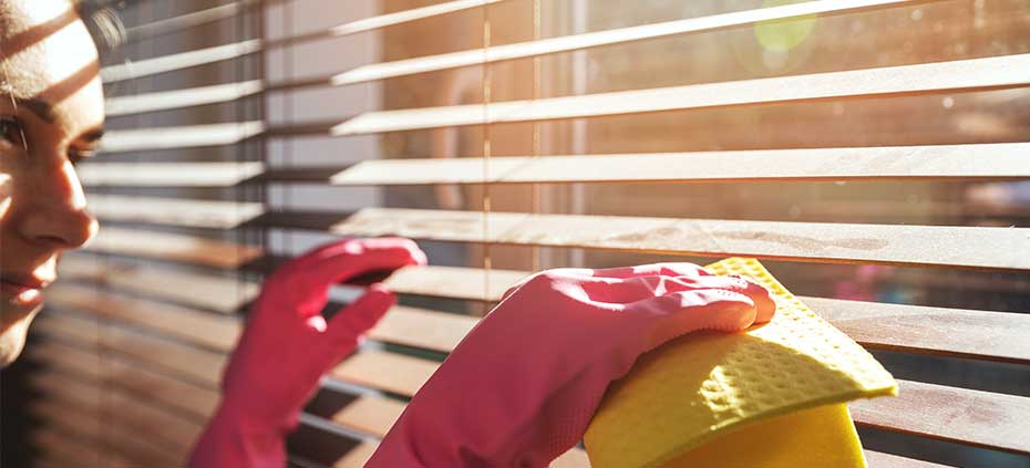 Woman Cleaning Window Treatments
