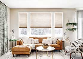 Living Room with Window Treatments
