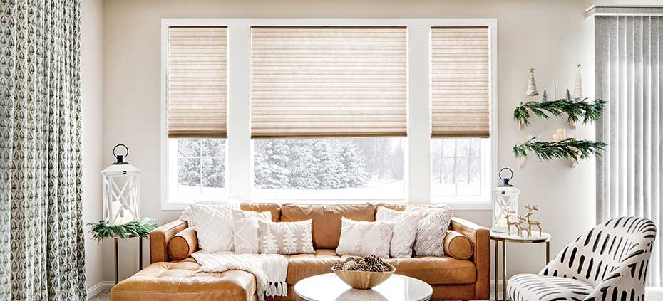 Living Room with window treatments