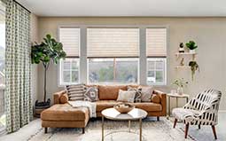 Cellular Shades in a Living Room