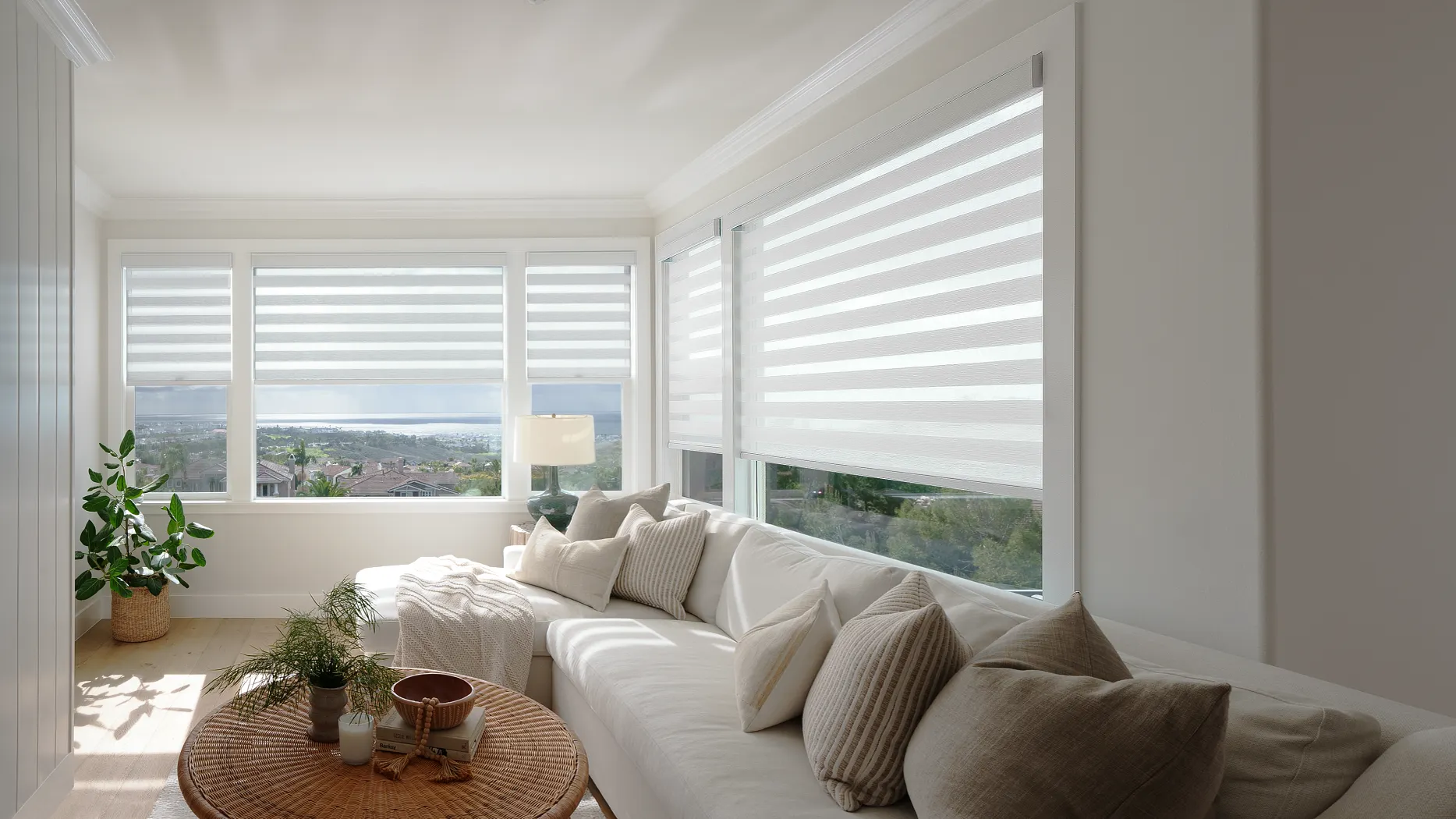 How to Clean Zebra Blinds Without Damaging Them
