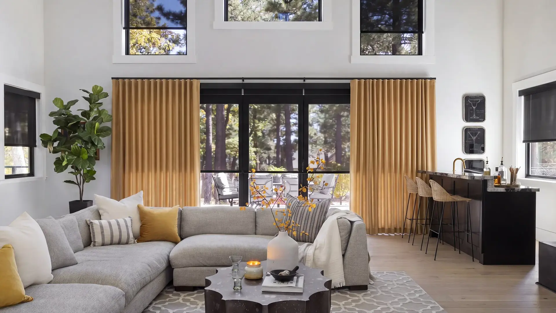 Living Room Window Treatments