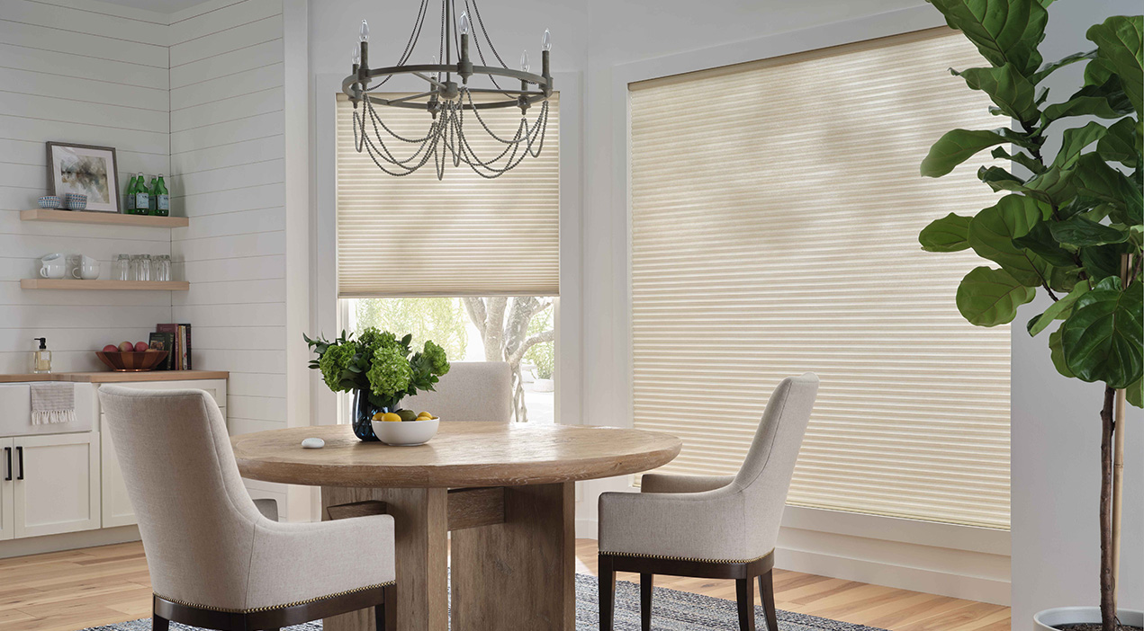 Create Designs You'll Love!